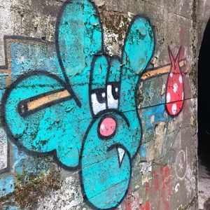 Meet your Posher, Jayden